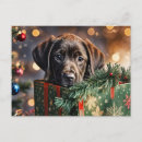 Suche nach happy labrador postkarten Niedlich