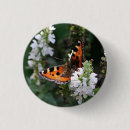 Suche nach orange blüte buttons Schmetterling