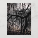 Suche nach willow tree postkarten Bäume