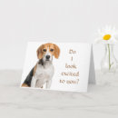 Suche nach beagles karten Hundebesitzer