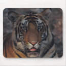 Suche nach bengalischer tiger mousepads Wild lebende tiere