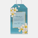 Suche nach frangipani Tropisch