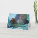 Suche nach meeressäugetier postkarten Tiere