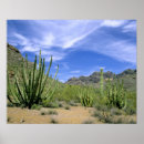 Suche nach orgelpfeifen poster Natur