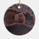 Suche nach niedliches eichhörnchen ornamente Weihnachten
