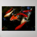 Suche nach japanese koi poster Pond