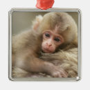 Suche nach monkey ornamente Baby