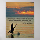 Suche nach flo poster Sonnenuntergang