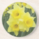 Suche nach gartenbau untersetzer Flora