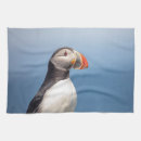 Suche nach seevögel geschirr tücher Ozean