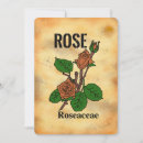 Suche nach gealterter karten Rose