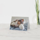 Suche nach calico cat karten Kalico