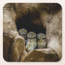 Suche nach thailand untersetzer Wald