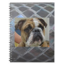 Suche nach englische bulldoggen kleine notizbücher Welpe