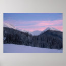 Suche nach der baum des lebens poster Natur