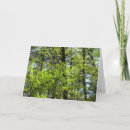 Suche nach ahornblatt karten Natur
