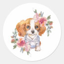 Suche nach cavalier king charles aufkleber Aquarell