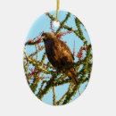 Suche nach strauch ornamente Natur
