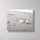 Suche nach muscheln leinwandbilder Sandsand