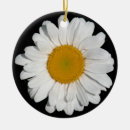 Suche nach daisy ornamente Blüte
