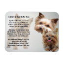 Suche nach yorkshire terrier magnete Yorkie