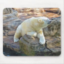 Suche nach eisbären mousepads Natur