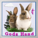 Suche nach lustige kaninchen poster Haustiere