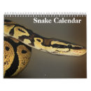 Suche nach reptil kalender Tierwelt