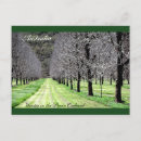 Suche nach obstgarten postkarten Obstbäume