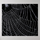 Suche nach spinnennetz poster Natur