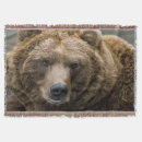 Suche nach braunbär decken Bären