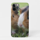 Suche nach nagetier iphone hüllen Guinea