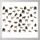 Suche nach zoo animal poster Wild