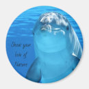 Suche nach delphine magnete Meer