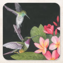 Suche nach kolibris untersetzer Blume
