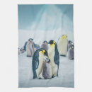 Suche nach pinguin geschirr tücher Wildtiere