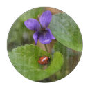 Suche nach käfer schneidebrettchen Blume
