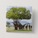 Suche nach nationalparks buttons Tierwelt