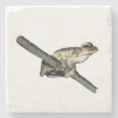 Suche nach baumfrosch untersetzer Blattgrün