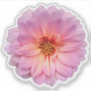 Suche nach zinnia aufkleber Botanisch
