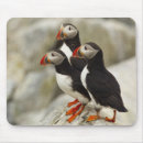 Suche nach atlantisch mousepads Kanada