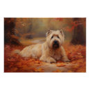 Suche nach wheaten terrier poster Radler