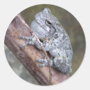 Suche nach amphibien aufkleber Natur