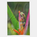 Suche nach grüner frosch geschirr tücher Amphibisch