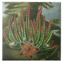 Suche nach lager fliesen Blumen