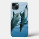 Suche nach delphin hüllen Tier
