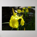 Suche nach bright poster Blumenreich