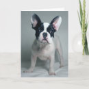 Suche nach french bulldog karten Kaninchen