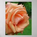 Suche nach abdrücke poster Fotografie