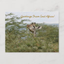 Suche nach ostafrika postkarten Giraffe